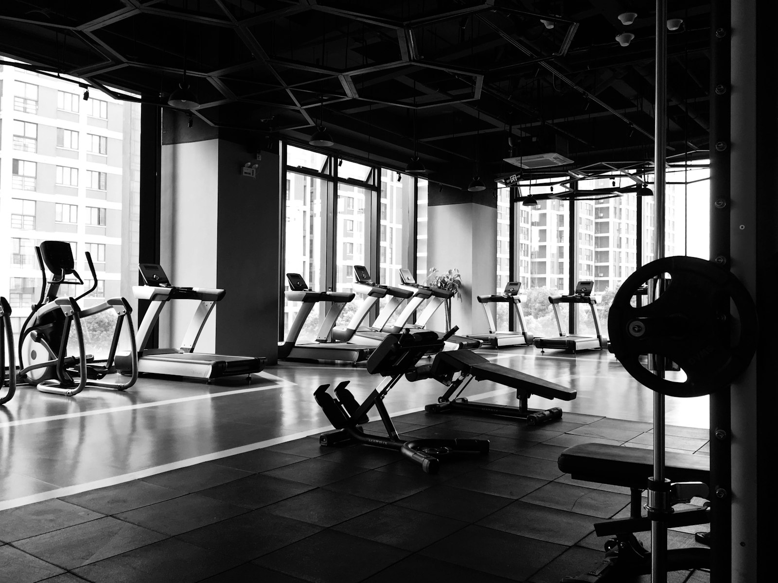 Health & Wellness
